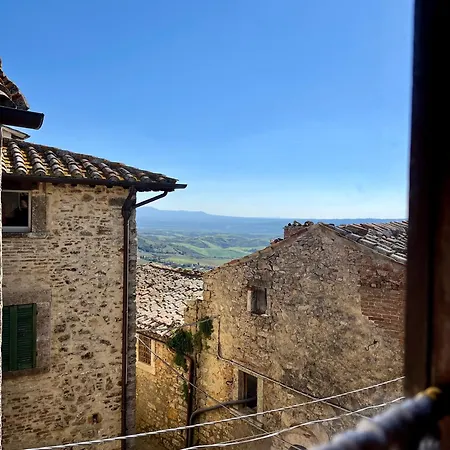 Dei Gelsomini