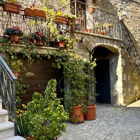 Dei Gelsomini Semesterbostad Civitella Del Lago